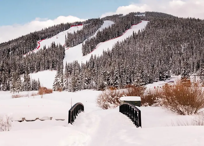 Mtn View - Close To Lifts - Heated Pool - Copper